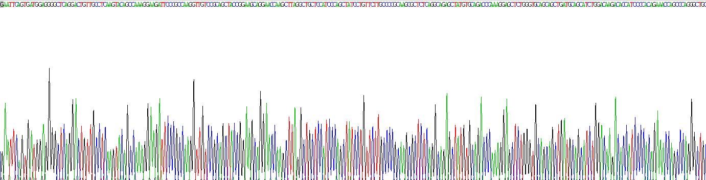 Active Secondary Lymphoid Tissue Chemokine (SLC)