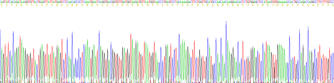 Active Interleukin 33 (IL33)