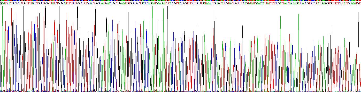 Active Interleukin 34 (IL34)