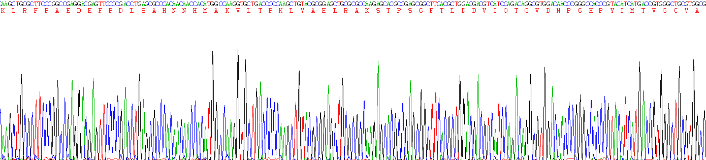 Active Creatine Kinase B (CK-BB)