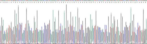 Active Endothelial Cell Specific Molecule 1 (ESM1)