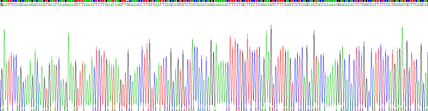 Active Interferon Epsilon (IFNe)