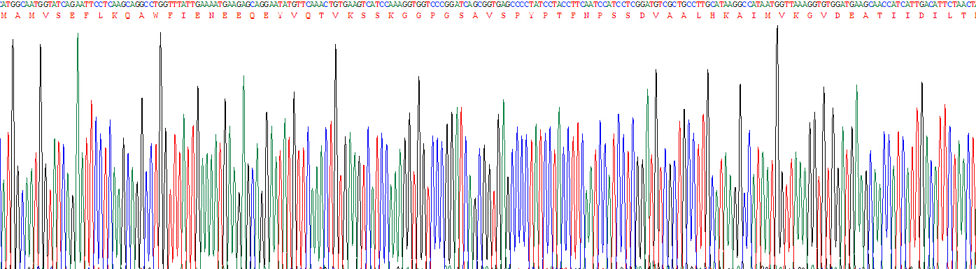 Active Annexin A1 (ANXA1)