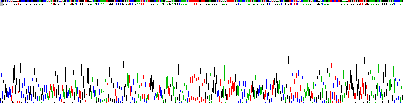 Active Cold Inducible RNA Binding Protein (CIRBP)