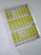 ELISA Kit for Angiotensin II (AngII)