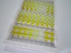 ELISA Kit for Prokineticin 2 (PK2)