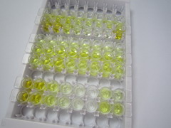 ELISA Kit for Activin AB (ACVAB)