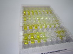 ELISA Kit for Adrenomedullin (ADM)