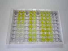 ELISA Kit for Anti-Mullerian Hormone (AMH)