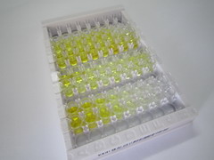 ELISA Kit for Alpha-Melanocyte Stimulating Hormone (aMSH)