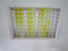 ELISA Kit for Substance P (SP)