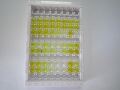 ELISA Kit for Inhibin Alpha (INHa)