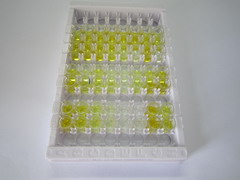 ELISA Kit for Inhibin Alpha (INHa)