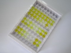 ELISA Kit for Neurogranin (NRGN)