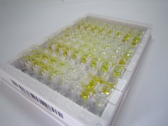 ELISA Kit for Growth Hormone Releasing Hormone (GHRH)