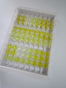 ELISA Kit for Insulin (INS)