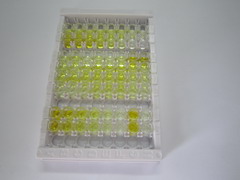 ELISA Kit for Thyroid Stimulating Hormone (TSH)