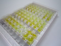 ELISA Kit for Leukotriene A4 (LTA4)