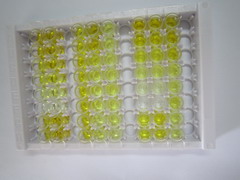 ELISA Kit for D-Dimer (D2D)