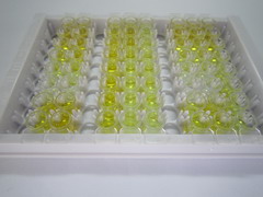 ELISA Kit for D-Dimer (D2D)