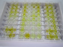 ELISA Kit for Apolipoprotein A1 (APOA1)