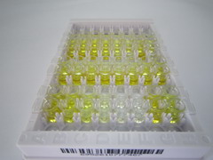 ELISA Kit for Fibroblast Growth Factor 2, Basic (FGF2)