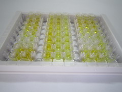 ELISA Kit for Leukotriene B4 (LTB4)