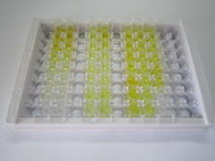 ELISA Kit for Leukotriene C4 (LTC4)