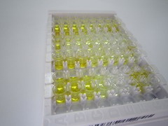 ELISA Kit for Hydroxyproline (Hyp)