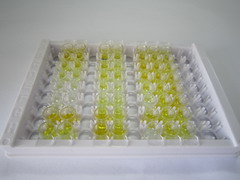 ELISA Kit for Pepsin (PP)