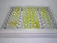 ELISA Kit for Cross Linked N-Telopeptide Of Type I Collagen (NTXI)