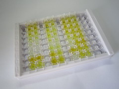 ELISA Kit for Cross Linked C-Telopeptide Of Type I Collagen (CTXI)