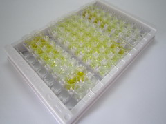 ELISA Kit for Kallikrein 10 (KLK10)