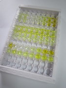 ELISA Kit for Endomorphin 2 (EM2)