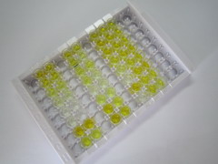 ELISA Kit for Prostaglandin F2 Alpha (PGF2a)