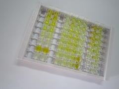 ELISA Kit for Gibberellic Acid (GA)