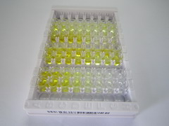 ELISA Kit for Neuropeptide S (NPS)