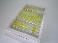ELISA Kit for Neuromedin B (NMB)