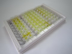 ELISA Kit for 5-Hydroxytryptamine (5-HT)