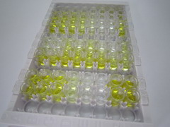 ELISA Kit for Angiotensin I (AngI)