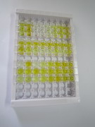 ELISA Kit for Parathyroid Hormone Related Protein (PTHrP)