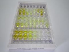 ELISA Kit for Von Willebrand Factor (vWF)