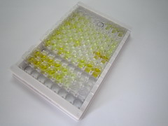 ELISA Kit for Adrenocorticotropic Hormone (ACTH)