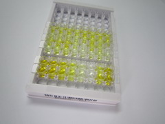 ELISA Kit for Gonadotropin Releasing Hormone (GnRH)