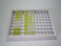 ELISA Kit for Gonadotropin Releasing Hormone (GnRH)