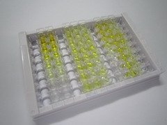 ELISA Kit for Calcitonin Gene Related Peptide (CGRP)