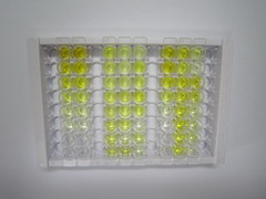 ELISA Kit for Neuropeptide Y (NPY)