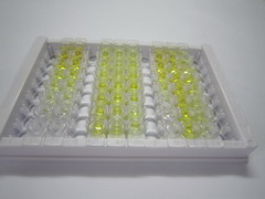 ELISA Kit for Neuropeptide Y (NPY)