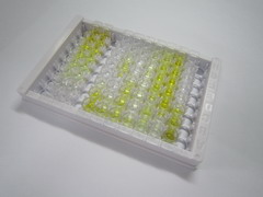 ELISA Kit for Melatonin (MT)