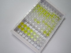 ELISA Kit for Vitamin C (VC)